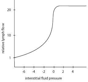 The diagram below illustrates the relationship between interstitial (extracellular) fluid pressure and lymph flow. Would an increase in interstitial fluid protein cause an increase in lymph flow?