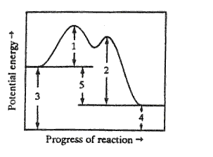 can only lower the activation energies of a reaction1 and 2 are the activation energy of the reaction3 and 4 are the potential energies of the reactants and products, and 5 is the potential energies difference of the reaction.                         