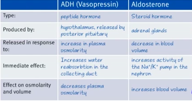 Two major hormones ADH and Aldosterone